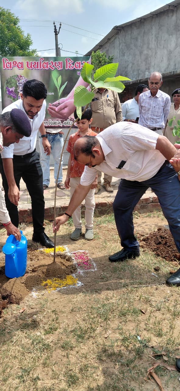 World Environment Day Celebration GIS